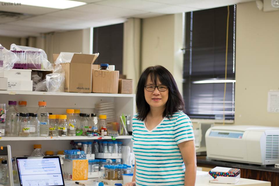 In her research, Dr. Kung-Hui (Bella) Chu works on identifying bacteria, naturally occurring in wastewater, that can break down harmful compounds.